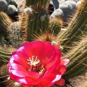 Meet your Posher, Wendy